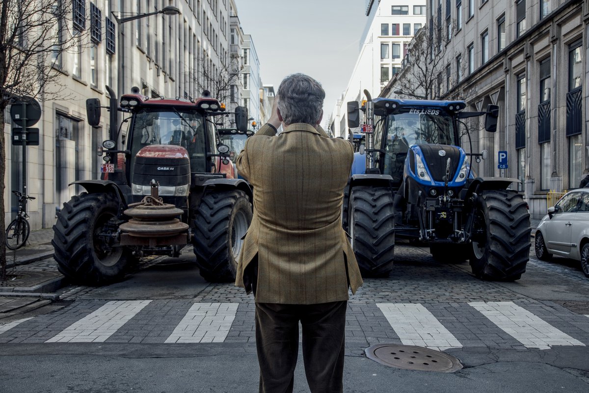 Zoe Schneeweiss tweet media