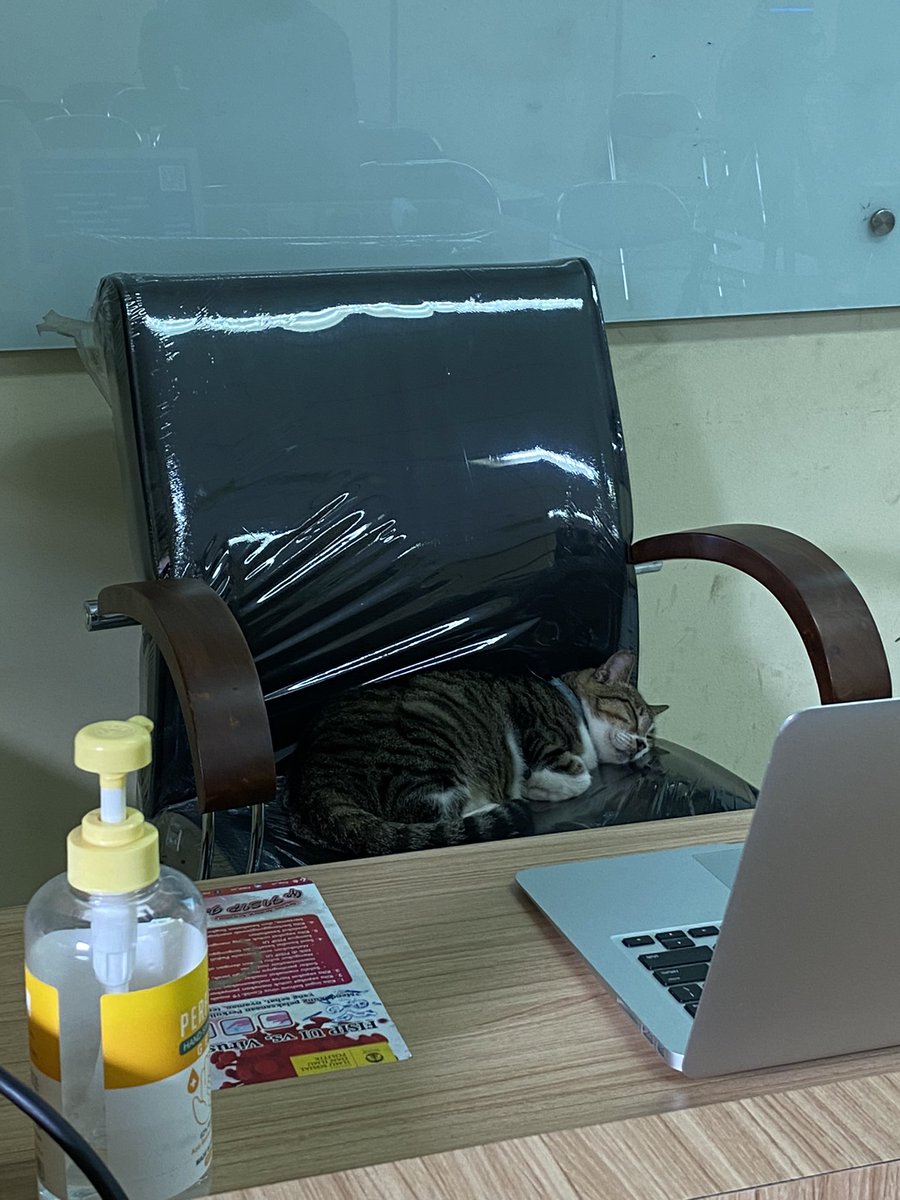 EVENISTRA's tweet photo. dosennya malah tidur bejir pas ngajar https://t.co/mg7szCu8Af