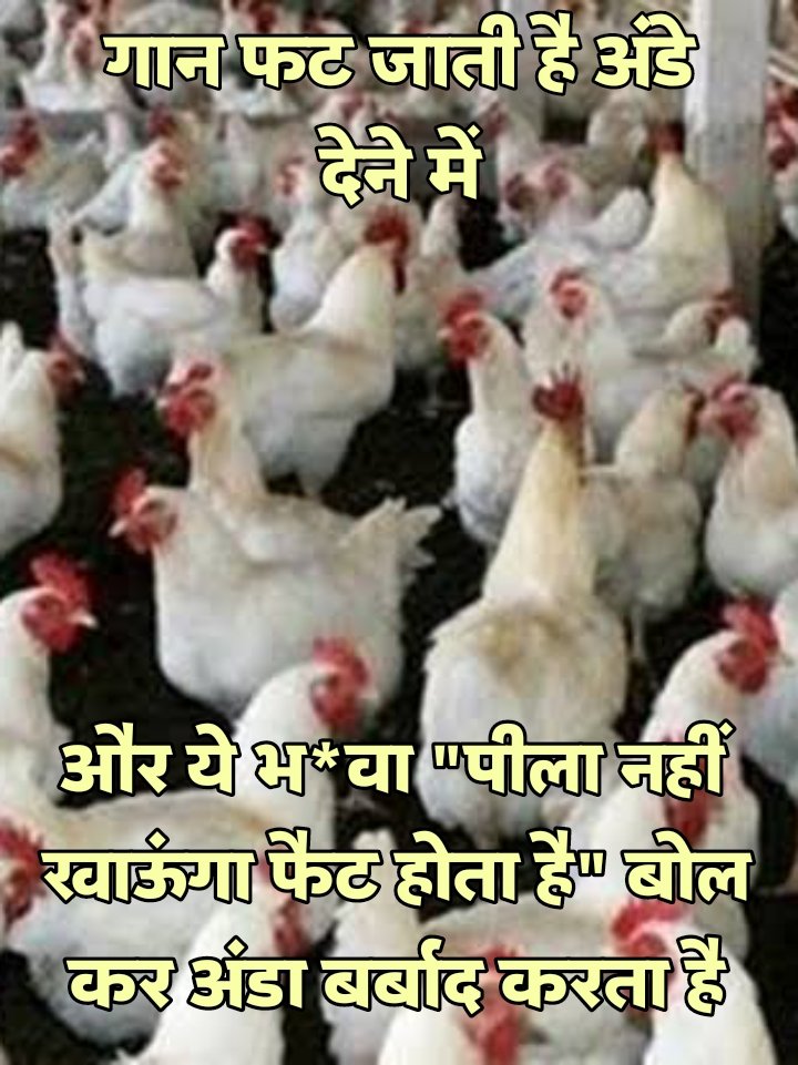 Chhaliya__'s tweet photo. https://t.co/rfRO8b6ehq