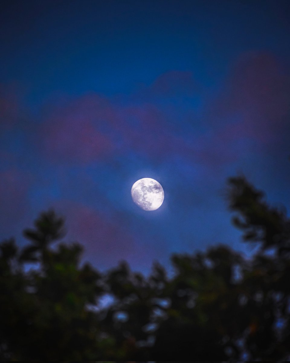 addhu.eth💙💛 | NATURE BEYOND SOLITUDE 1/5 left | tweet media