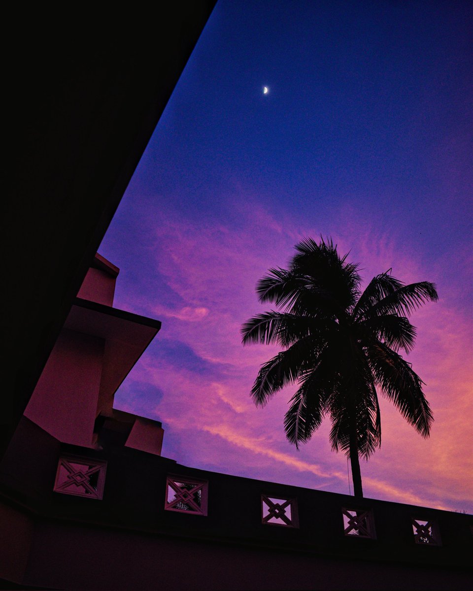 addhu.eth💙💛 | NATURE BEYOND SOLITUDE 1/5 left | tweet media