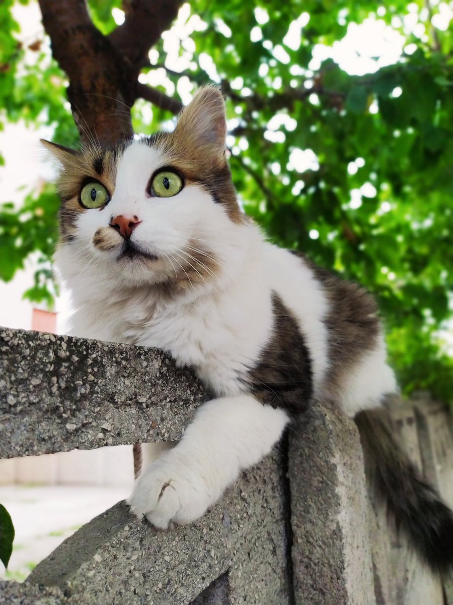 Şeyma (@s3yma_s) on Twitter photo 