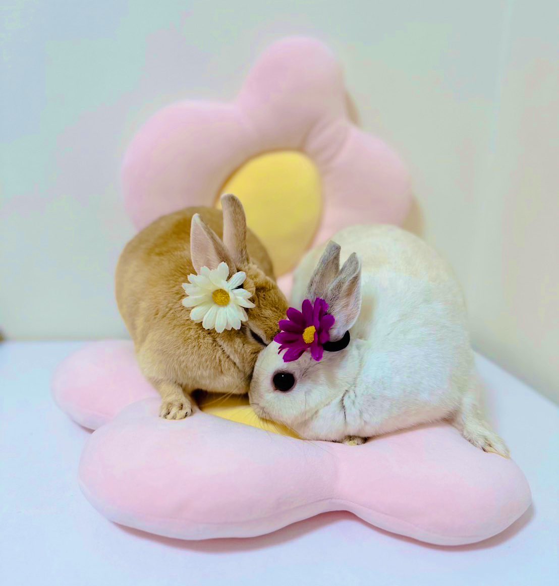 雪ー❄️寒いから暖かくしてねー😊💕
ラテ🐰☕️いちご🐰🍓❄️