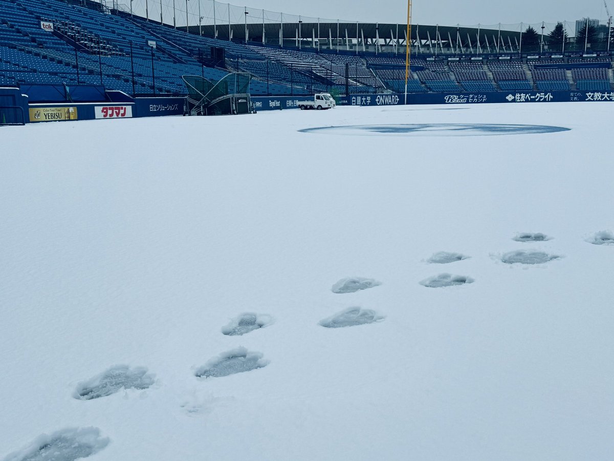 jingu_stadiumpr's tweet photo. 鳥小屋から大きな足跡が続いています…🧐🧐
どこかで見たことがありますね🏟️🐧✨

#神宮球場 #jingustadium #雪景色 https://t.co/gIS2RnT4K3