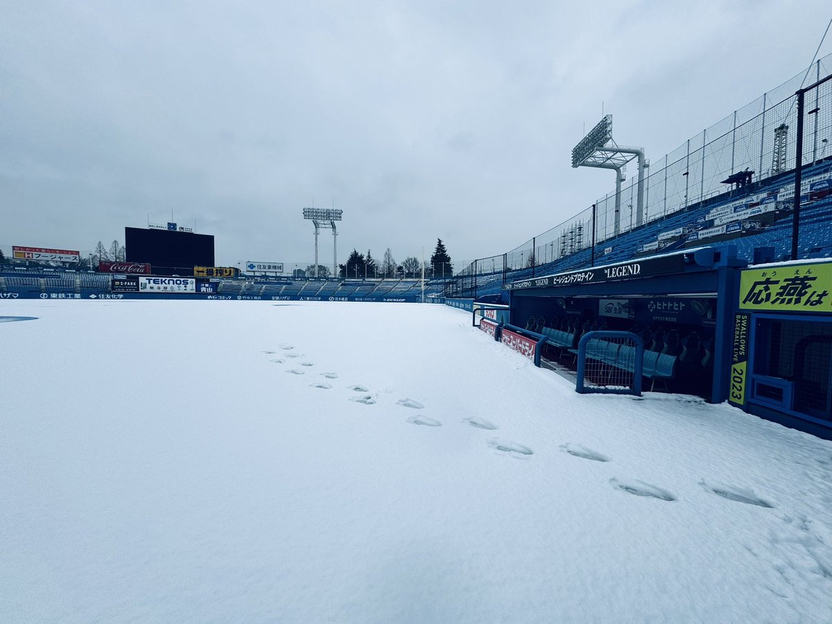 jingu_stadiumpr's tweet photo. 鳥小屋から大きな足跡が続いています…🧐🧐
どこかで見たことがありますね🏟️🐧✨

#神宮球場 #jingustadium #雪景色 https://t.co/gIS2RnT4K3