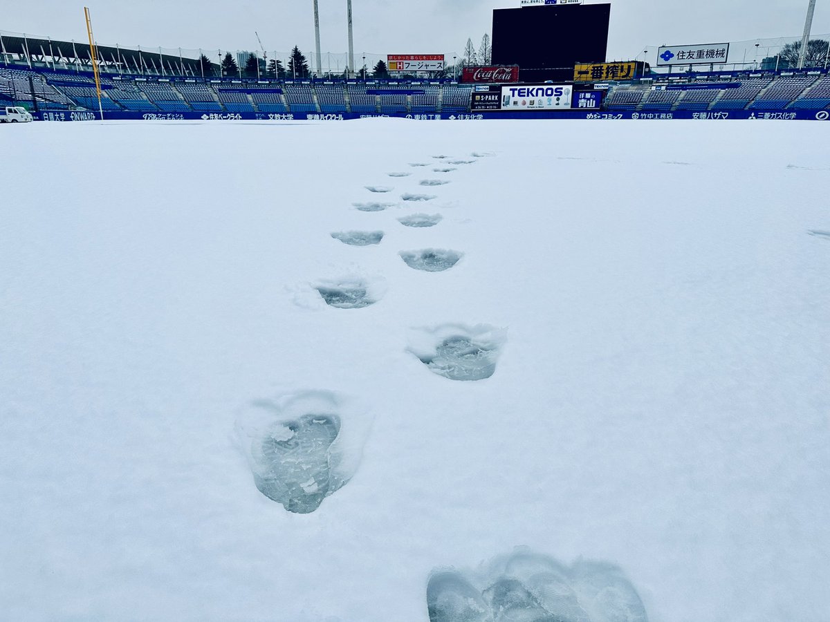 jingu_stadiumpr's tweet photo. 鳥小屋から大きな足跡が続いています…🧐🧐
どこかで見たことがありますね🏟️🐧✨

#神宮球場 #jingustadium #雪景色 https://t.co/gIS2RnT4K3