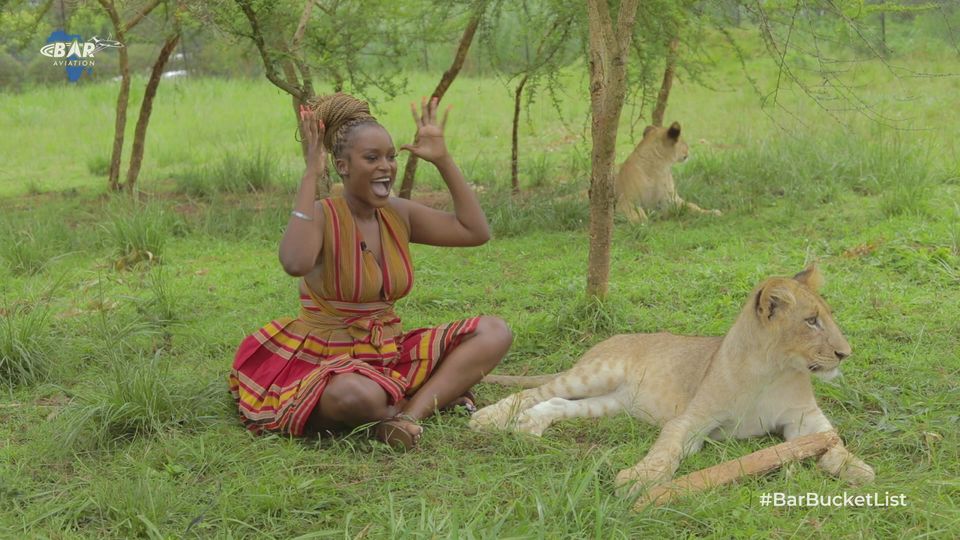 Bar Aviation tweet media