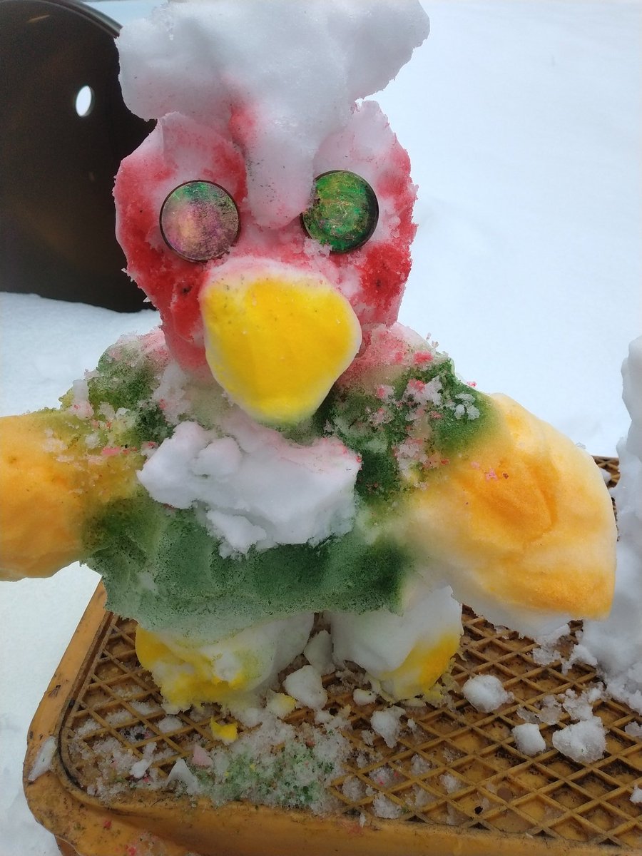 yabukiji's tweet image. 久々の雪
なので久々に作ってみた
雪ダルマならぬ
きじダルマ笑
色付き無し笑
明日には溶けて崩れているでしょう笑