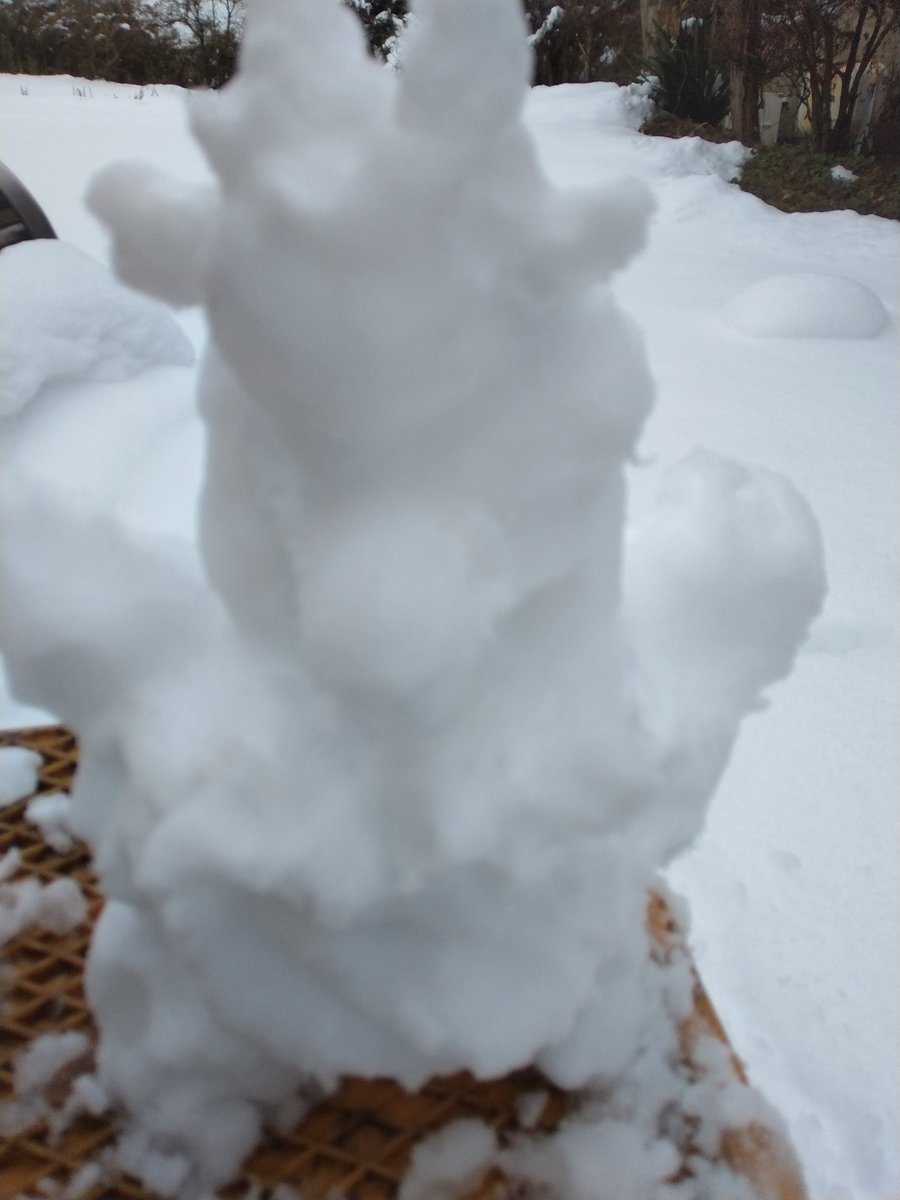 yabukiji's tweet image. 久々の雪
なので久々に作ってみた
雪ダルマならぬ
きじダルマ笑
色付き無し笑
明日には溶けて崩れているでしょう笑