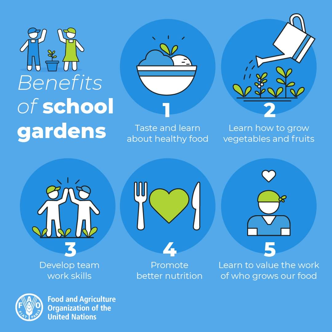 School gardens teach children about more than just growing food. 

They help to… 
❤️Develop life skills
🍏Promote better #nutrition & healthy eating
🌎Increase environmental awareness
💪Cultivate respect for food & #FoodHeroes