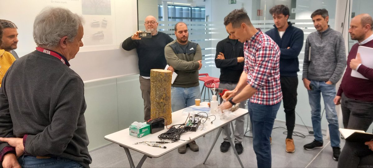 QuimBellvert tweet media