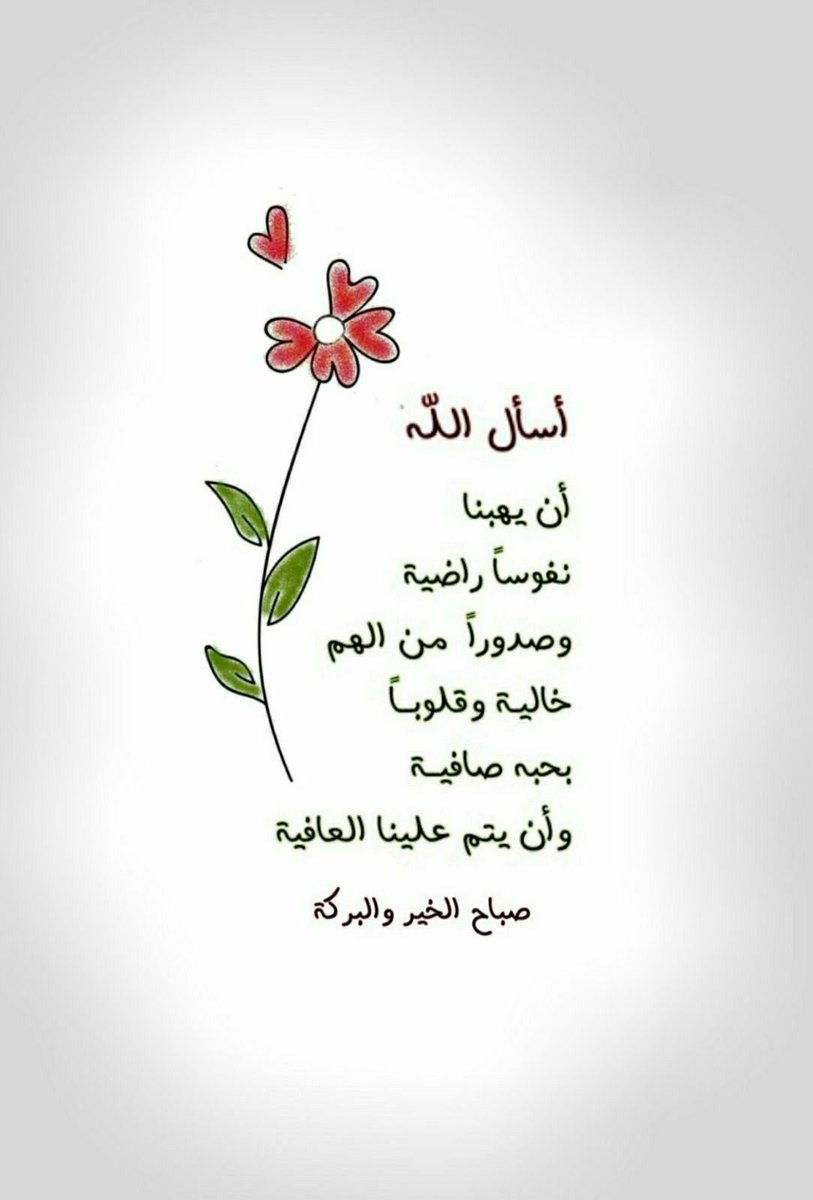 مالك هادي tweet media