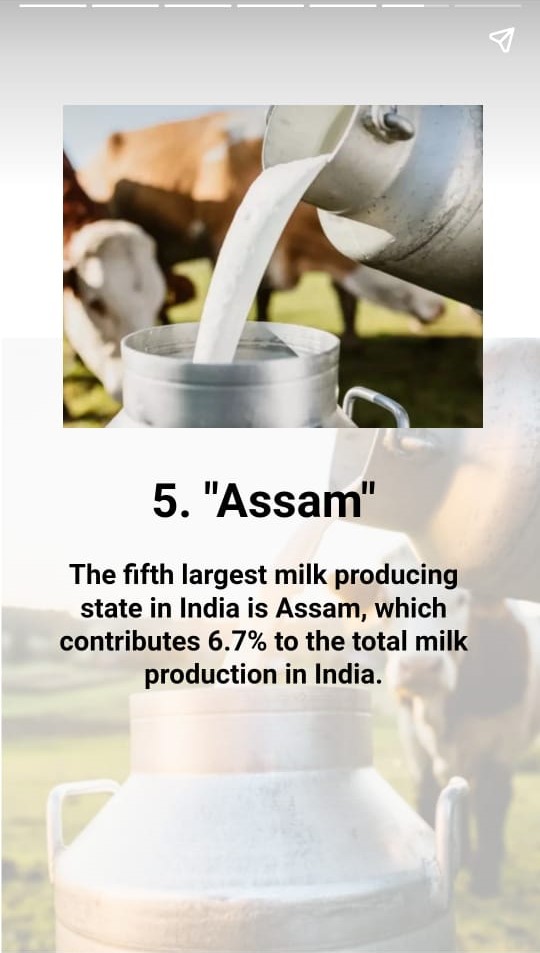 apartassam's tweet photo. #ExcitingNews | The formal milk value chain known as "Doorstep AI delivery service" implemented by WAMUL under APART project, has contributed significantly towards the status of "Top 5 Largest Milk Producing States in India - 2024."
https://t.co/iMdkvWIWSV
#APARTProject #WAMUL https://t.co/D0QtNAu0RG