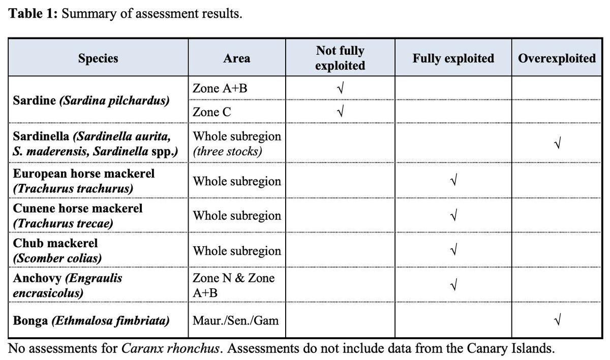 sakchaimcd's tweet image. 🐟🌍#CECAF Small Pelagic Working Group (Northwest Africa 2023): Summary Report

- 6 out of 8 stocks: within biologically sustainable limits (status = fully or not fully exploited)
- 3 stocks: overexploited.

📖More: fao.org/3/cc9486en/cc9…