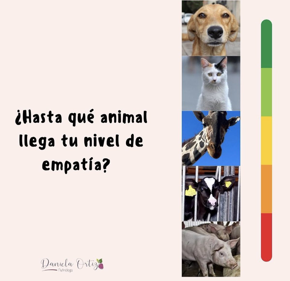 CISNE ABYECTA 🍉 tweet media