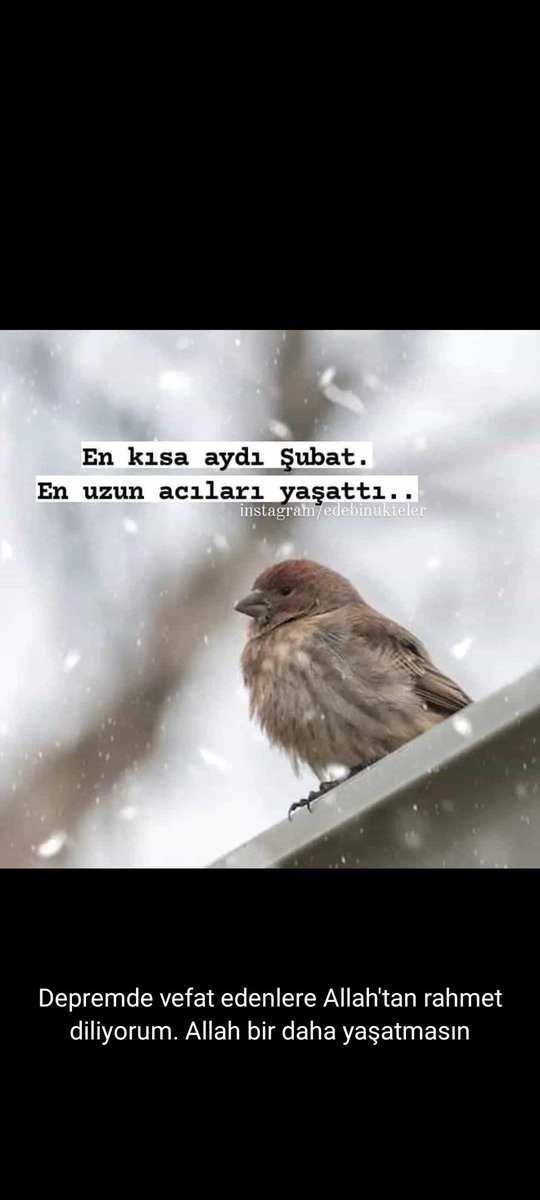 Suhyettin Bilican (@suhyettinb) on Twitter photo 