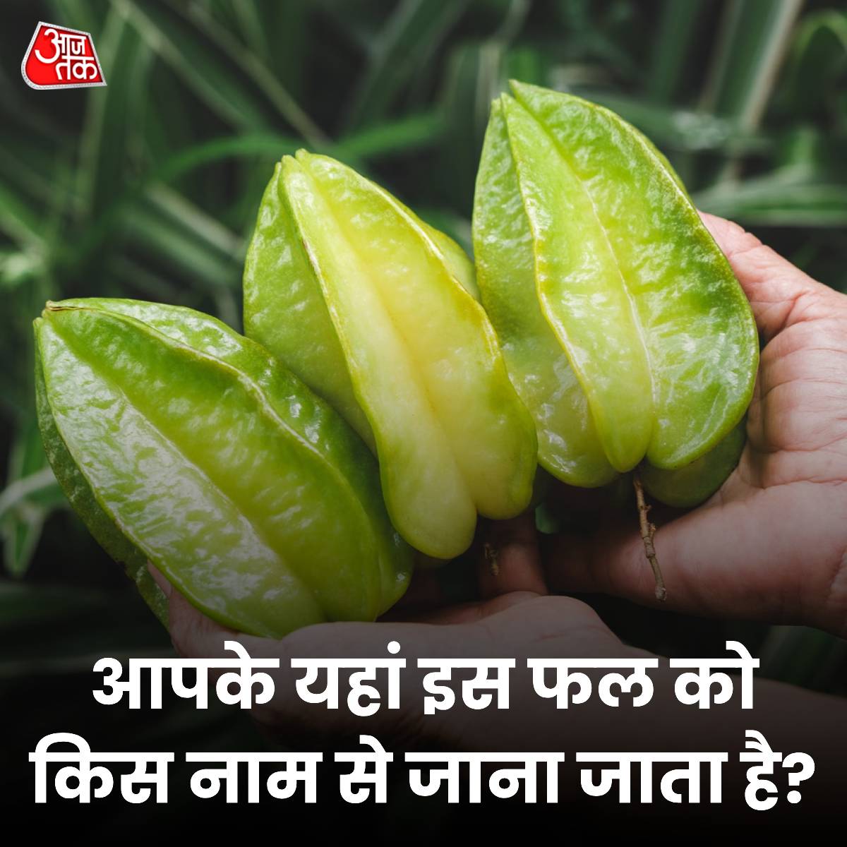 आपके यहां इस 'फल' को किस नाम से जाना जाता है? कमेंट में बताएं

#ATYourSpace #Fruit #GuessTheName #Guess #YourSpace