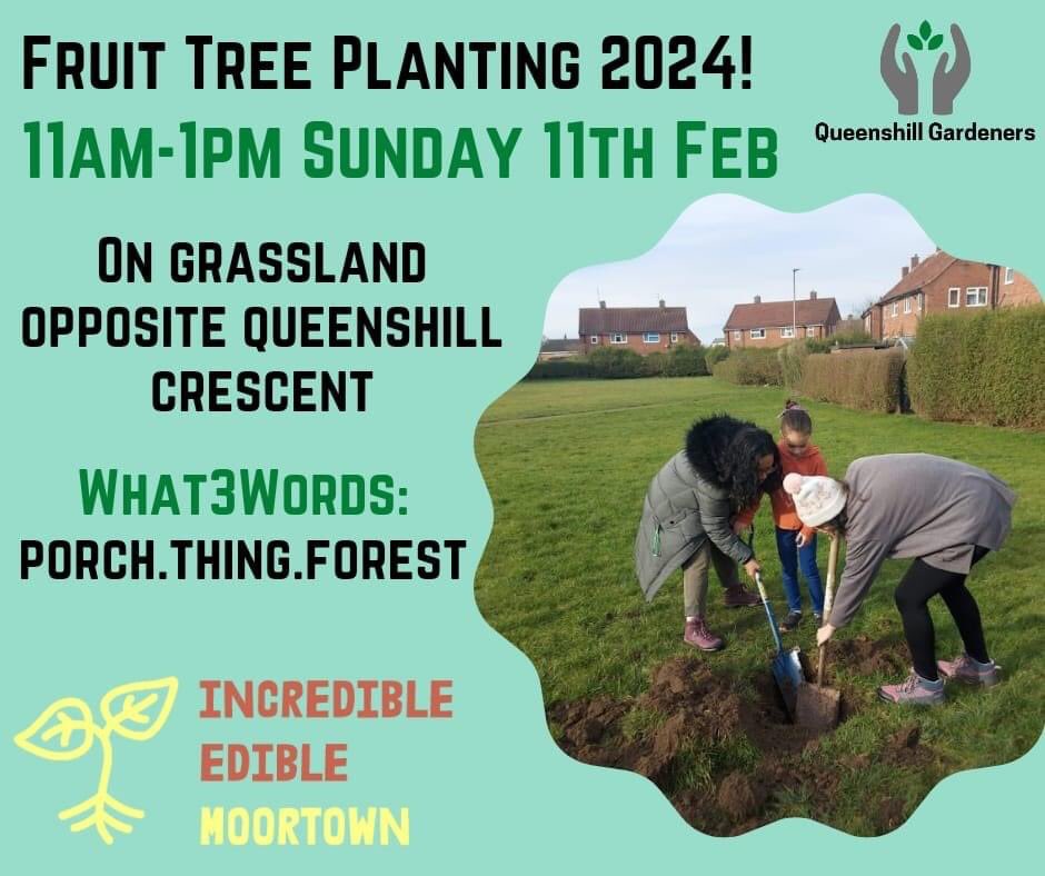 Incredible Edible Moortown have a fruit tree planting session planned 11-1pm Sun 11th Feb 🌳 All volunteers very welcome 💚
