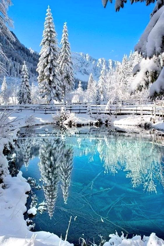 TLeoni311's tweet image. Good morning ❄️❄️