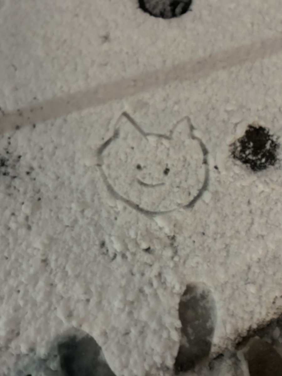 今日起きたら意外と雪無かった。
昨日書いた猫。