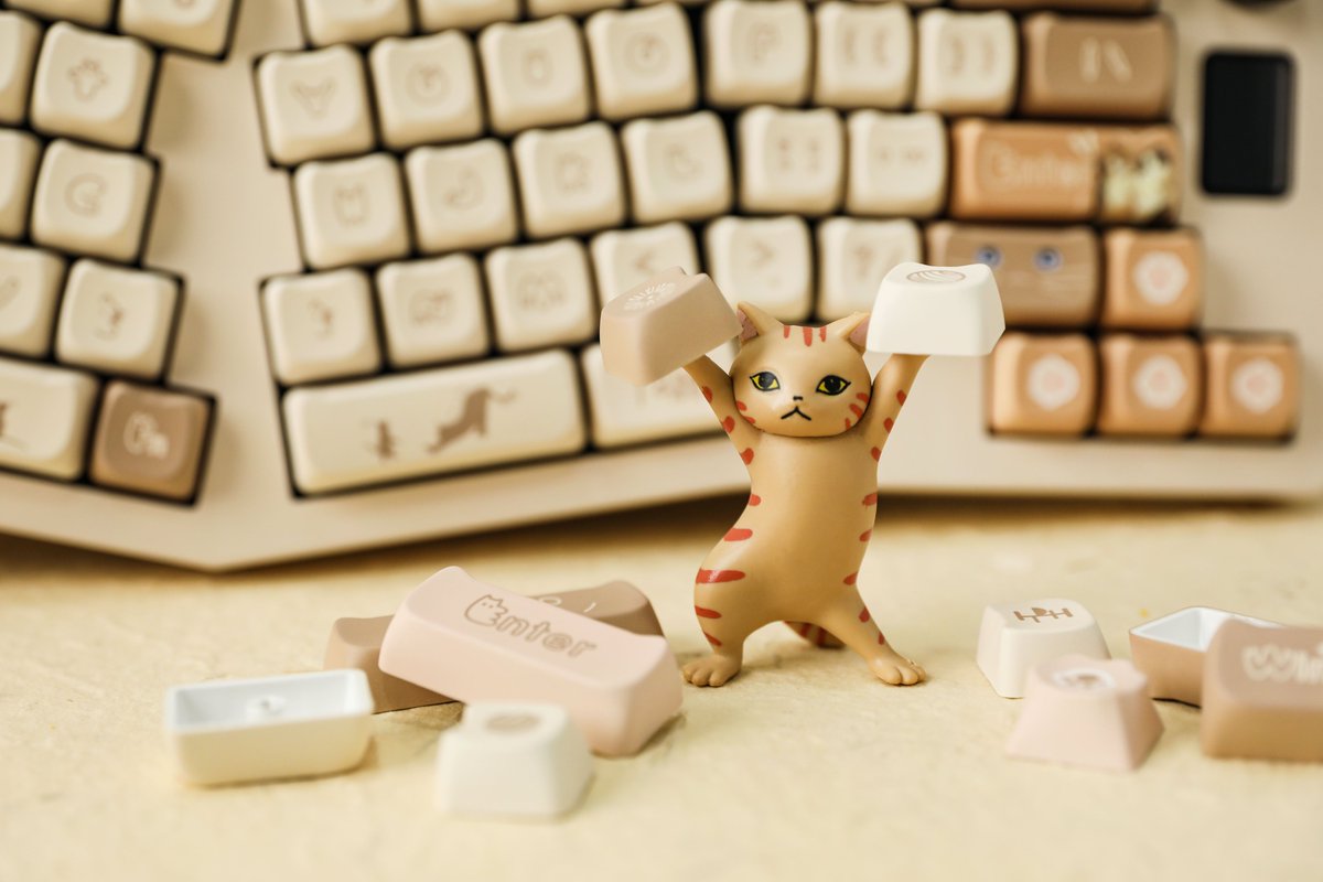 EpomakerK's tweet image. PurrCap with CIDOO ABM066 😺
・
ฅ^.ᆺ.^ฅ
#catloversclub #keyboardlover #epomakerkeyboard #epomaker