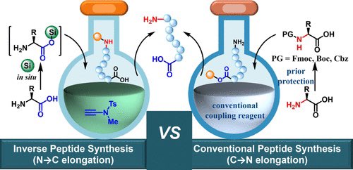 isciverse's tweet photo. Inverse Peptide Synthesis Using Transient Protected Amino Acids

@J_A_C_S #Chemistry #Science 

https://t.co/qY7P9RJwhJ https://t.co/WrrlWOHtoE