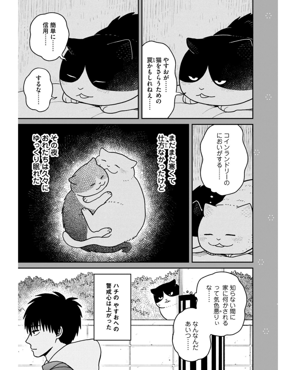 冬、野良猫ハウスの秘密(2/2)  #ツレ猫マルルとハチ #マルルとハチ #漫画が読めるハッシュタグ