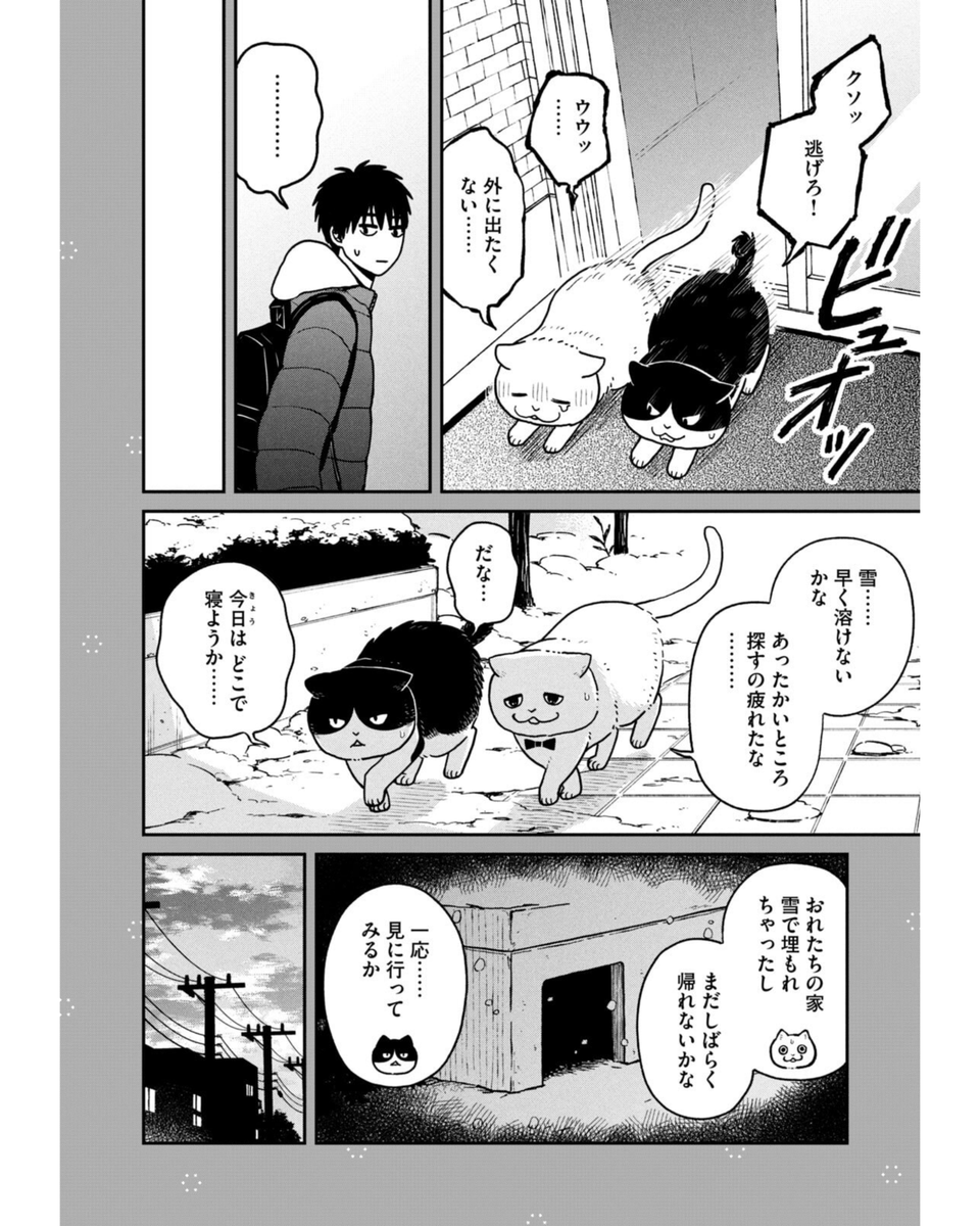 冬、野良猫ハウスの秘密(1/2)  #ツレ猫マルルとハチ #マルルとハチ #漫画が読めるハッシュタグ