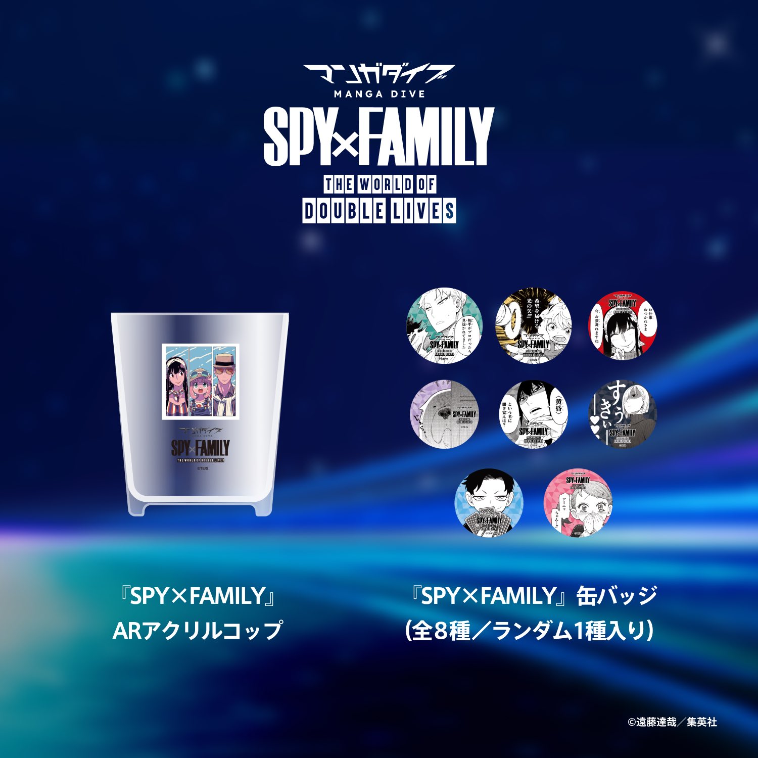 スパイファミリー　グッズ SPY×FAMILY（スパイファミリー） | 公式グッズ・公式ライセンス