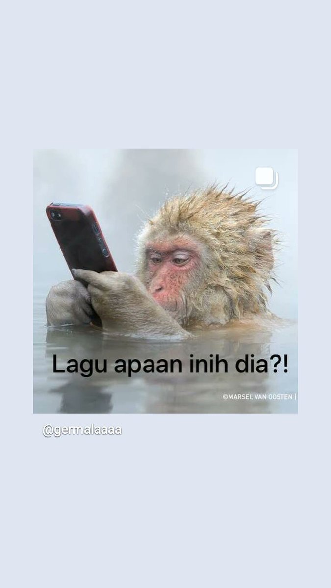 Rahmad Sumantri tweet media