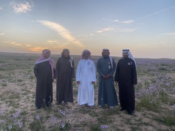 الصورة