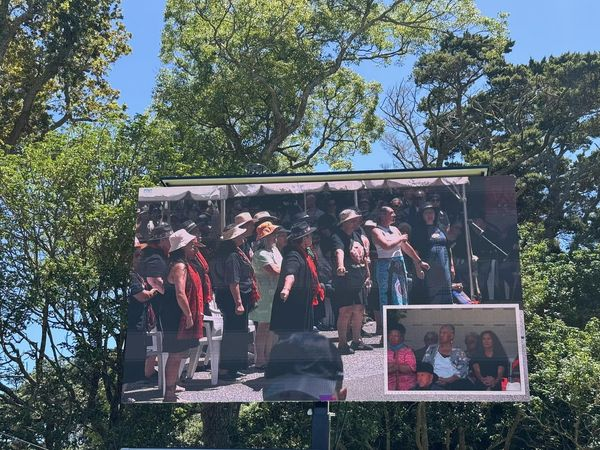 #WAITANGI2024
Yesterday at Waitangi, the atmosphere was extraordinary. As the sun blazed above we listened to absolute pearls from tangata whenua that unapologetically expressed our mana motuhake and tino rangatiratanga. Toitū Te Tiriti!