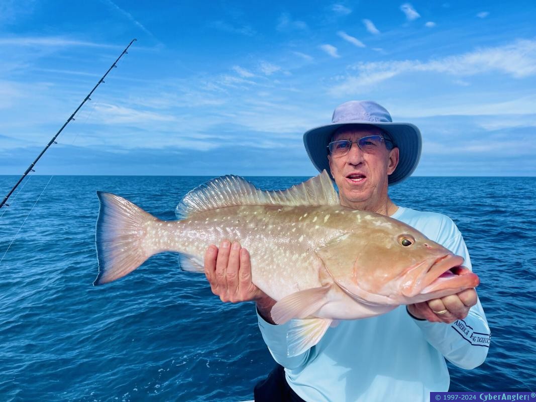 CyberAngler's tweet image. #Fishing #FishingReport #Tampa #StPeteBeach #StPetersburg #Florida Capt. Pedro Borrego: Red Grouper Regulation Update 2024 cyberangler.com/fishing-report…