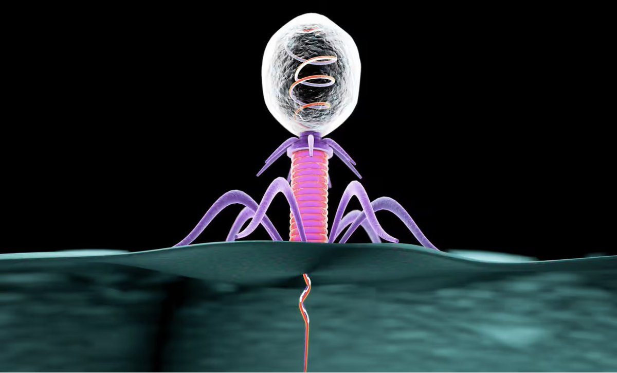 Hay un conjunto de virus que viven en nuestro organismo y pudieran ser claves a la hora de regular el estrés. ¿Cómo lo hacen? ¿Donde residen y como ejercen su influencia? 
Os lo cuento atendiendo las últimas evidencias científicas. 
Agradezco RT.