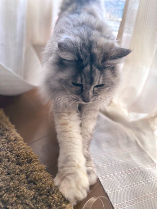 Twitterのコスプレ画像27