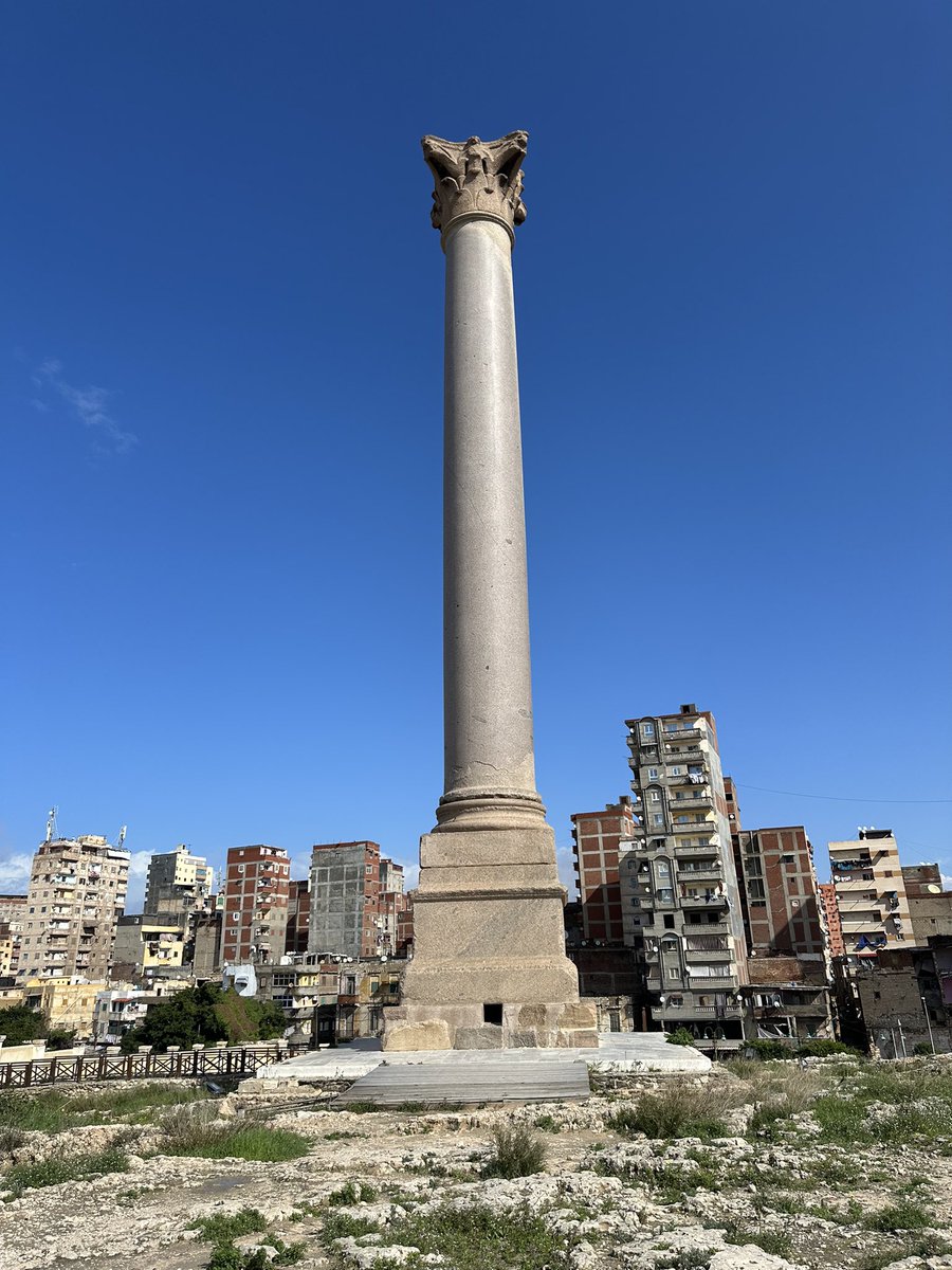 Dr Stephanie Boonstra tweet media