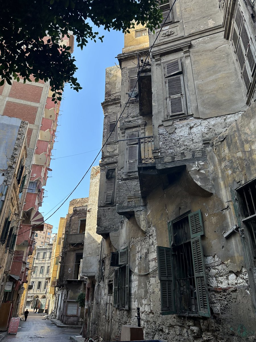 Dr Stephanie Boonstra tweet media