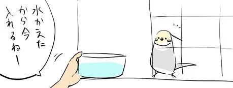 ちがう
