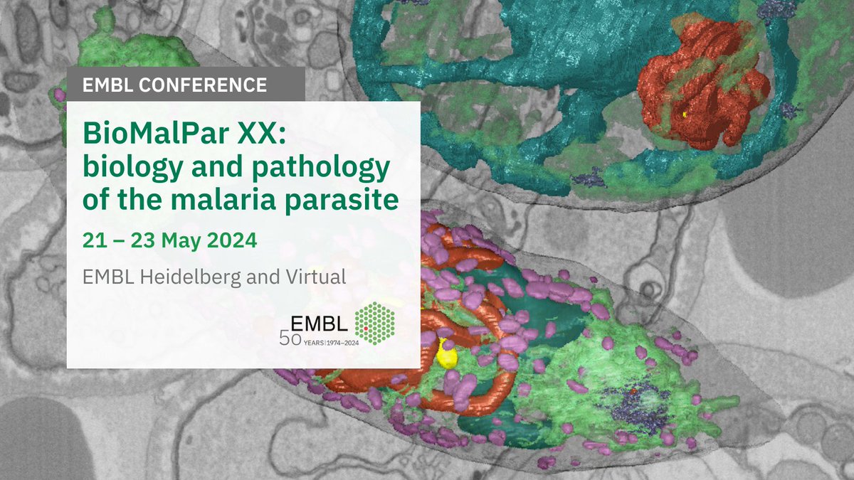 Join us at 'BioMalPar XX' to commemorate two decades of driving research to better understand and combat the #malaria parasite and its mosquito vector! 🦟 ⭐ Featuring keynote speaker Ally Olotu and 12 expert speakers, #EMBLMalaria is the must-attend meeting for #malaria