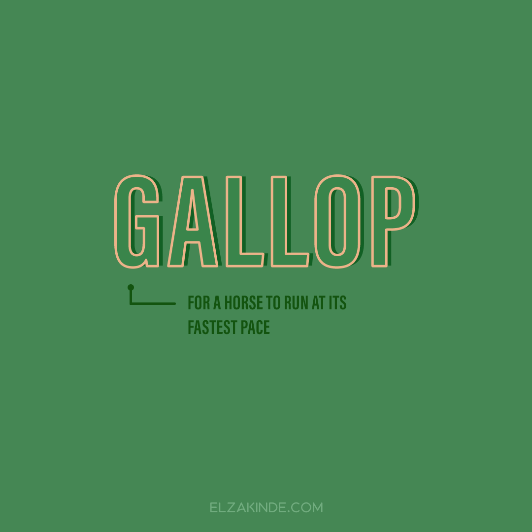 GALLOP: for a horse to run at its fastest pace.

Find more words worth collecting on my blog: elzakinde.com/category/word-… #wordnerd #wordcollector