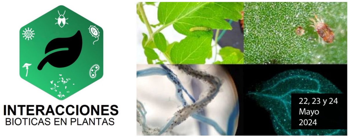 ¡¡Ya está aquí!! ¡¡La Primera Reunión del Grupo de Trabajo de Interacciones Bióticas de la Sociedad Española de Biología de Plantas (SEBP)!! Más información en la página web de la reunión: lnkd.in/eVZzss7j