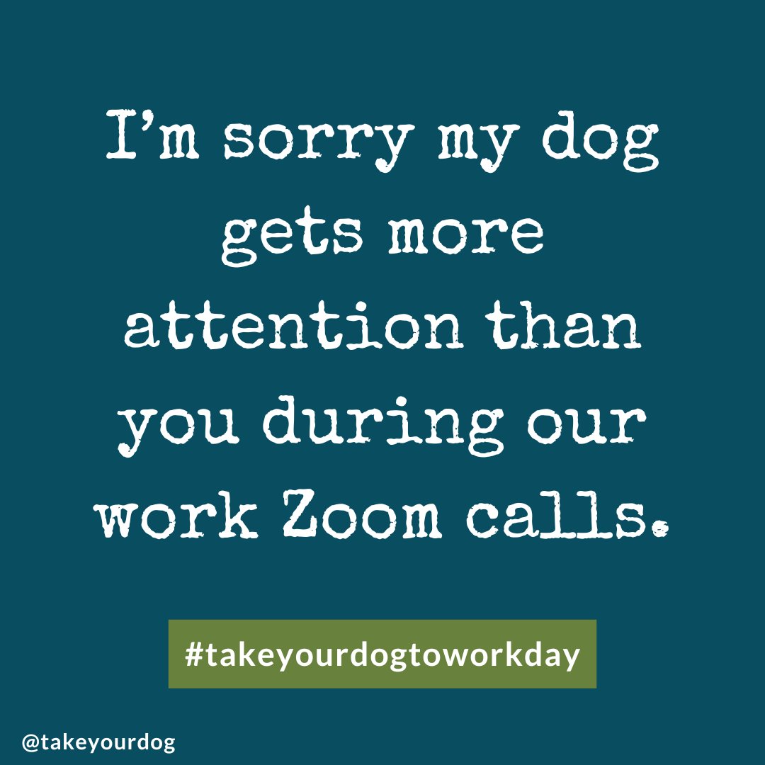 Who's planning on celebrating #TakeYourDogToWorkDay this year? (Friday, June 21). View planning tips and free resources at petsit.com/toolkit.