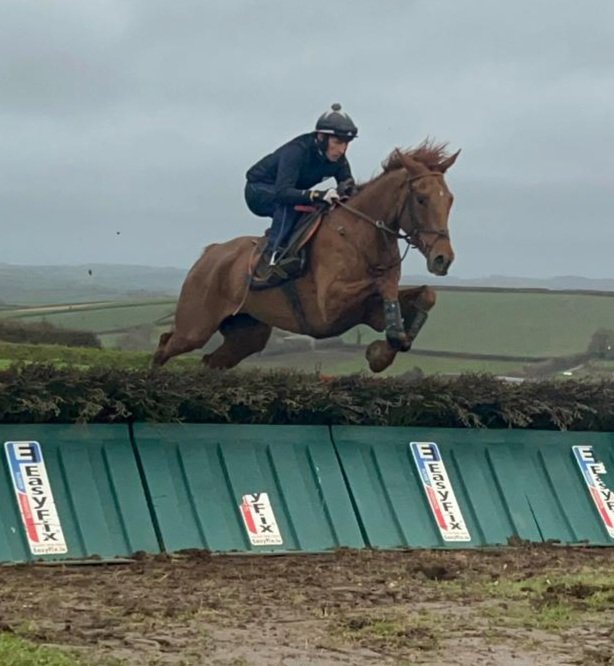 Captain Marvellous schooling this morning @NandJ_WilliamsR @CM_Gethings this morning. Adonis @kemptonparkrace the next run