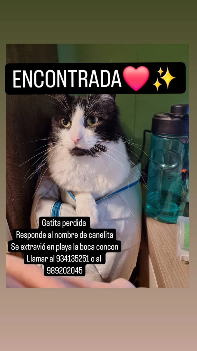 Salvandopatit4s's tweet photo. Gatita ya está con su familia 🫶🏻 https://t.co/w4bHeWcp6X