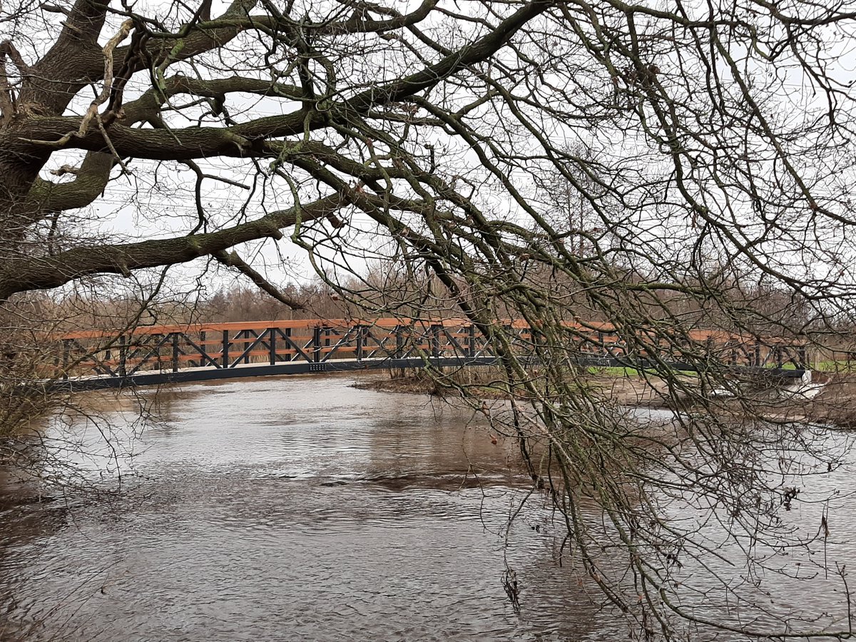 HanHaveman's tweet photo. De nieuwe fietsbrug over de #Regge in 't natuurgebied De Tatums tussen de #Hellendoornse buurtschappen #Marle en #Eelen en #Rhaan is gereed. https://t.co/47sK3nh2Mf