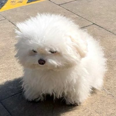 cccchloee's tweet photo. #NewProfilePic https://t.co/XErZL3IQYZ