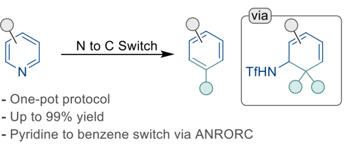 greaneygroup's tweet image. Out now in Chemrxiv, we're excited to report a simple protocol for the direct synthesis of benzenes from pyridines, through an N to C switch. Congrats to Aife for her work on this project! chemrxiv.org/engage/chemrxi…
