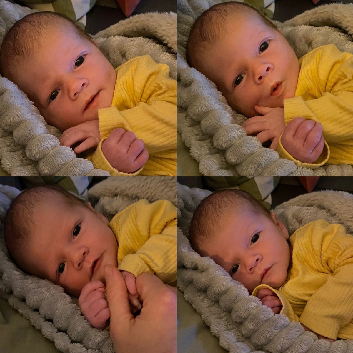 Greig Spence tweet media