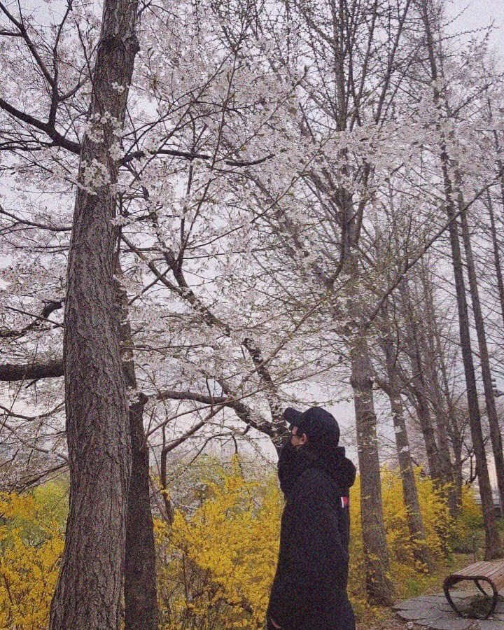 mostlychansoo's tweet image. Park Chanyeol shot by DO Kyungsoo in Japan (2019-2024) 📸
He really made being Chanyeol's photographer a full-time job 😭