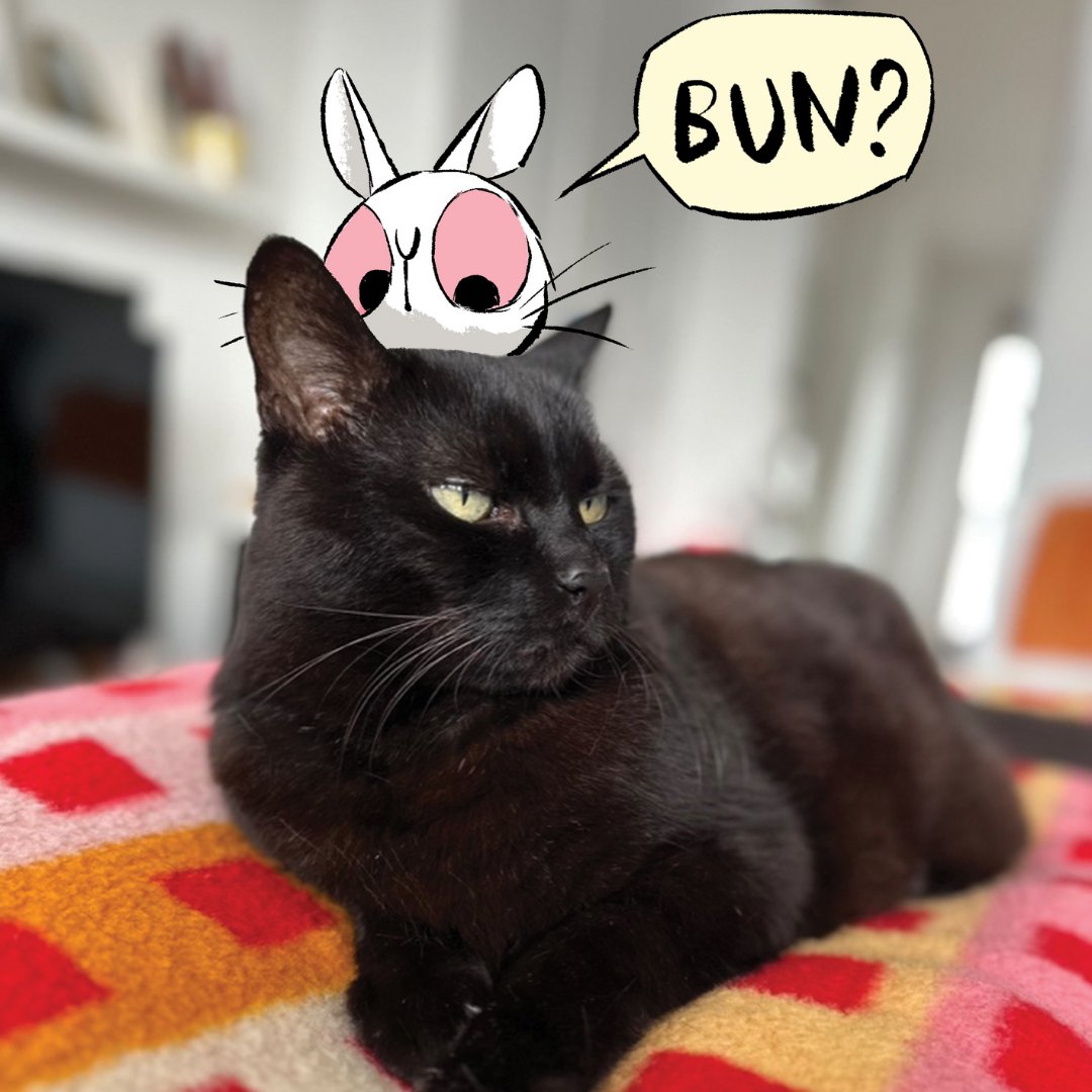 Meet the real Murray, the gorgeous cat belonging to @adam_stower ...